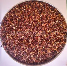 BROWN RICE